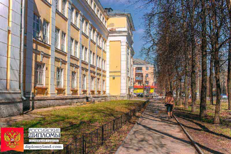 Диплом в Иваново Иваново